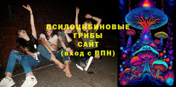 стаф Алзамай
