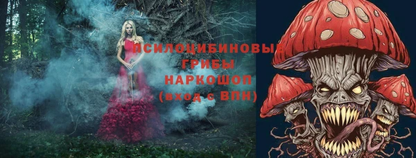 твердый Абинск