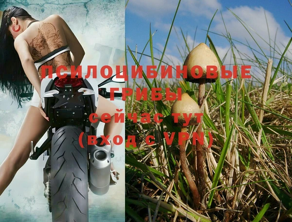 твердый Абинск