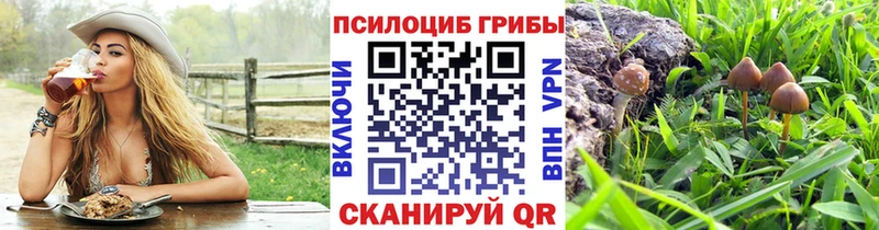 hydra ONION  Камень-на-Оби  Псилоцибиновые грибы Psilocybe  маркетплейс клад  закладка 
