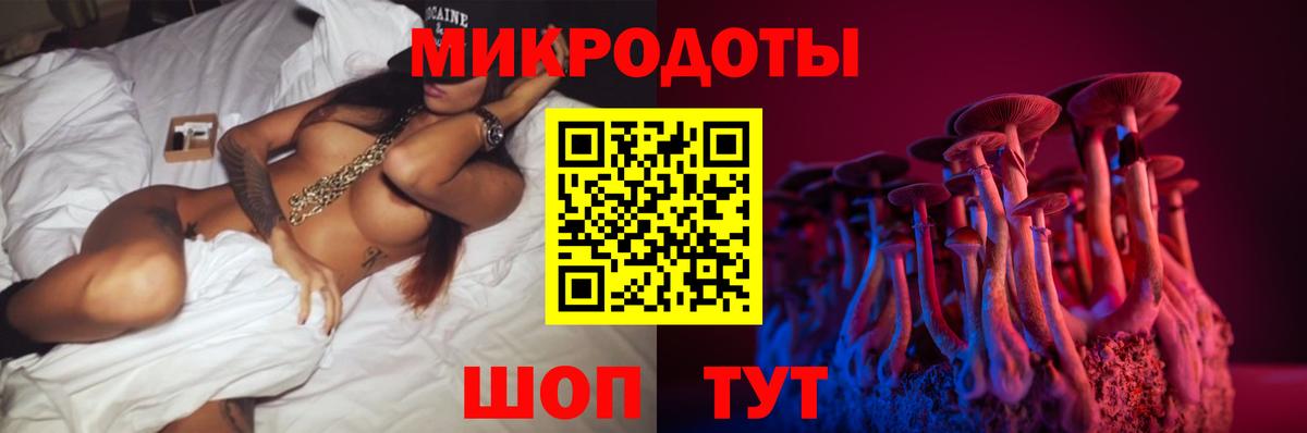Камень-на-Оби  Галлюциногенные грибы прущие грибы  Вход с VPN 